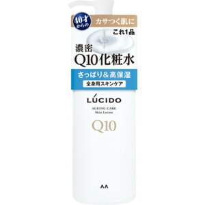 �}���_�� LUCIDO Q10���ϐ� 300ml 4902806121568 -o