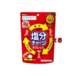 ◎塩分チャージタブレッツ 81g×6袋」の人気商品一覧 | 安い商品を 