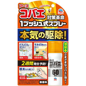 A[X RoG 1vbVXv[ 60 13.2ml 4901080024015  E EXv[