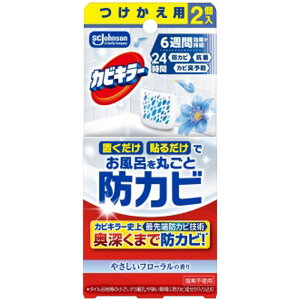 [ SCW\ JrL[CɒuhJrWF ₳t[̍ p 4901609015203