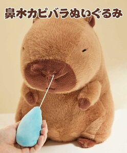 Jso ʂ @    _炩 25cm/30cm/40cm  ̃Jso CeA X aMtg v[g @O\