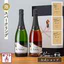 【送料込】紫波ワインスパークリングワイン 白・ロゼギフトセット〔辛口・発泡性〕750ml×2本 自園自醸ワイン紫波 白…