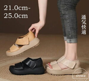 yzgȌT_ fB[X T_ Od lԍHw Be[WX^C  5cmq[ 21.0-25.0cm 3color ubN x[W J[L