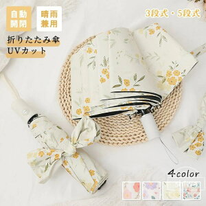 yzy5{|Cgz܂肽ݎP 3i 5i fB[X RpNg Jp 8{ UVJbg J y Ռ P ԕ 悯  킢 s