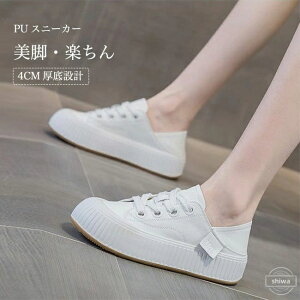 y݌ɌzXj[J[ fB[X  4cm JWAV[Y tbgV[Y Xj[J[ EhgD y r 芴 Xb| PUXj[J[  tFCNU[ XV