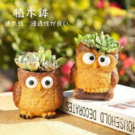 【送料無料】＼期間限定ポイント20倍／多肉植物鉢 植木鉢 フクロウ プランター ミニ 多肉 苔 コケリウム 苔リウム 箱庭 鉢 可愛い おしゃれ サボテン 多肉植物 寄せ植え 置物 装飾用 装飾 インテリア かわいい 樹脂 テラリウム 容器 卓上 ガーデニング グッズ 雑貨 母の日
