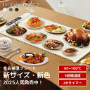 ★店内最大2000円クーポン！3部門1位受賞！★ 保温プレート 食品保温プレート 電気保温プレート カップウォーマー 解…