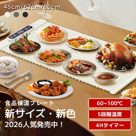 【楽天スーパーSALE・半額OFF】 保温プレート 食品保温プレート 電気保温プレート カップウォーマー ぬくまるトレイ 解凍プレート 発酵メーカー シリコン 保温マット 60~100℃ 温めトレイ 急速解凍 家庭用 加熱マート 食品保温機 プレート ギフト