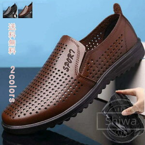 yzt ₷ ₷  t@bV rWlX JWA EH[LO y Ȃ ʋC l rWlX 