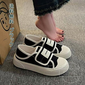 yzO gx s ʋ ItBX AEghA 킢 zCg  ʏ_ Sn ɂȂ r @bV