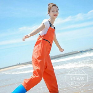 yzX ނ X[c h |Pbg C k C cA Y  NX d EF[_[ C h   