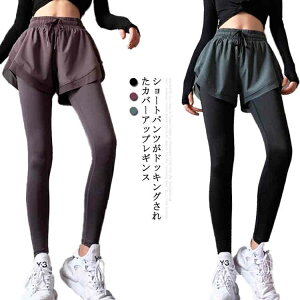 yzjO SEGXg d˒ fB[X X|[cpc V[gpctMX KMX Kpc