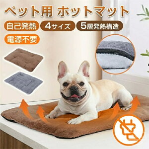 yzybgpѕz ̉~M g[ybgpbh ybgpq[^[ dsv ۉpbh 5w̕ۉ݌v