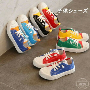 yz ~ ʉ X|[cC qǂ  ʋC qC V[Y c j̎q ̎q C Xj[J[