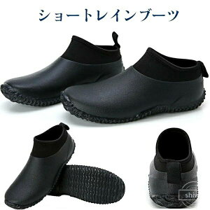 yz񂽂u[c CObY JC V[gCu[c fB[X CV[Y Y Cu[c