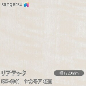 SܕtσtB AebN RW-4841 AebNR[g VJA  W1220mm×50m[ RW4841 REATEC JbeBOV[g SV[g ̂tǎ CNV[g V[g σtB 