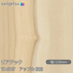 SܕtσtB AebN TC-5067 Abv  W1220mm×1mPʐؔ TC5067 REATEC JbeBOV[g SV[g ̂tǎ CNV[g V[g σtB DIY tH[ S