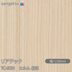 SܕtσtB AebN TC-5081 G  W1220mm×1mPʐؔ TC5081 REATEC JbeBOV[g SV[g ̂tǎ CNV[g V[g σtB DIY tH[ S