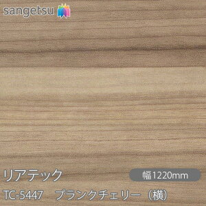 SܕtσtB AebN TC-5447 vN`F[ij W1220mm×50m[ TC5447 REATEC JbeBOV[g SV[g ̂tǎ CNV[g V[g σtB DIY t