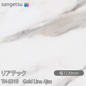 SܕtσtB AebN TN-5319 Gold Line Ajax W1220mm×1mPʐؔ TN5319 REATEC JbeBOV[g SV[g ̂tǎ CNV[g V[g σtB DIY tH[ S