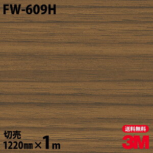 _CmbNV[g 3M _CmbNtB FW-609H t@CEbh ؖڒ 1220mm×1mP ① FW609H DINOC DI-NOC JbeBOV[g SV[g ̂tǎ CNV[g V[g σtB
