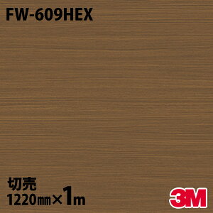 _CmbNV[g 3M _CmbNtB FW-609HEX Oό󐫃tB ω 1220mm×1mP FW609HEX DINOC DI-NOC JbeBOV[g SV[g ̂tǎ CNV[g V[g σtB