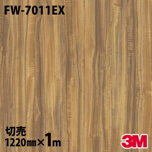_CmbNV[g 3M _CmbNtB FW-7011EX Oό󐫃tB ω 1220mm×1mP FW7011EX DINOC DI-NOC JbeBOV[g SV[g ̂tǎ CNV[g V[g σtB