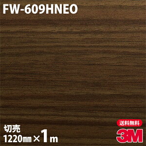 _CmbNV[g 3M _CmbNtB FW-609HNEO VEǖʗpiؖځj 1220mm×1mP ① iԁFNEO-R212H NEOR212H DINOC DI-NOC JbeBOV[g SV[g ̂tǎ CNV[g 