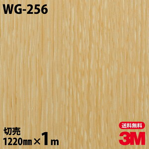 _CmbNV[g 3M _CmbNtB WG-256 EbhOC ؖڒ 1220mm×1mP ① WG256 DINOC DI-NOC JbeBOV[g SV[g ̂tǎ CNV[g V[g σtB