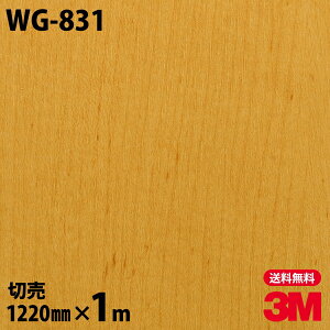 _CmbNV[g 3M _CmbNtB WG-831 EbhOC ؖڒ 1220mm×1mP ① WG831 DINOC DI-NOC JbeBOV[g SV[g ̂tǎ CNV[g V[g σtB
