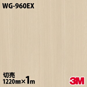 _CmbNV[g 3M _CmbNtB WG-960EX Oό󐫃tB ω 1220mm×1mP ① WG960EX DINOC DI-NOC JbeBOV[g SV[g ̂tǎ CNV[g V[g 