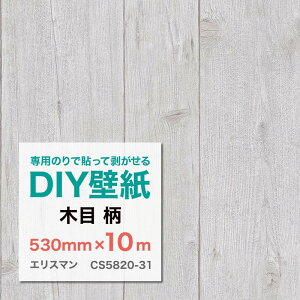 \ĔAt[Xǎ Erismann GX} CS5820-31 ؖ 530mm×10mi[j hCcA sDzǎ p̂ʔ