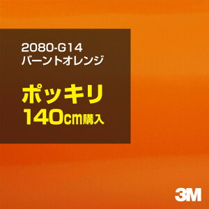 3M J[bsOtB  bsOV[g 2080-G14 o[gIW yW1524mm×140cmz 2080G14 iԁF1080-G14 OX 򂠂  یtB IW  uE  J[bvt