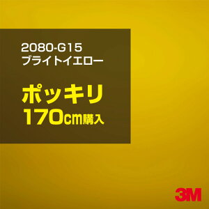 3M J[bsOtB  bsOV[g 2080-G15 uCgCG[ yW1524mm×170cmz 2080G15 iԁF1080-G15 OX 򂠂  یtB   J[bvtB DIY O 