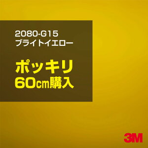 3M J[bsOtB  bsOV[g 2080-G15 uCgCG[ yW1524mm×60cmz 2080G15 iԁF1080-G15 OX 򂠂  یtB   J[bvtB DIY O 