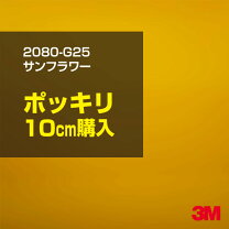 楽天市場】3m ラップフィルム 1080 フェアリーオレンジの通販