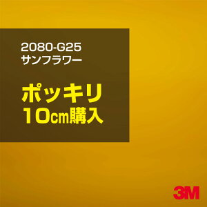 3M J[bsOtB  bsOV[g 2080-G25 Tt[ yW1524mm×10cmz 2080G25 iԁF1080-G25 OX 򂠂  یtB  CG[ J[bvtB DIY O 