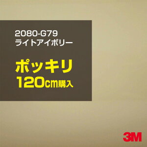 3M J[bsOtB  bsOV[g 2080-G79 CgAC{[ yW1524mm×120cmz 2080G79 iԁF1080-G79 OX 򂠂  یtB x[W ItzCg J[bvtB