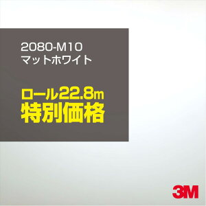 3M J[bsOtB  bsOV[g 2080-M10 }bgzCg y1[FW1524mm×22.8mz 2080M10 iԁF1080-M10 }bg Ȃ Ȃ  J[bvtB DIY O  {lb