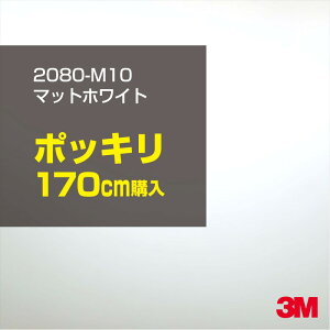 3M J[bsOtB  bsOV[g 2080-M10 }bgzCg yW1524mm×170cmz 2080M10 iԁF1080-M10 }bg Ȃ Ȃ  J[bvtB DIY O  {lbg X[