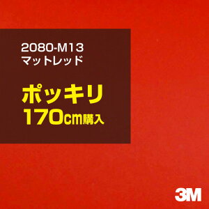 3M J[bsOtB  bsOV[g 2080-M13 }bgbh yW1524mm×170cmz 2080M13 iԁF1080-M13 }bg Ȃ Ȃ  J[bvtB DIY O  {lbg X[G