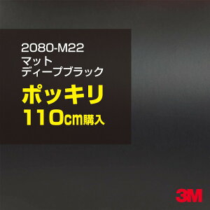 3M J[bsOtB  bsOV[g 2080-M22 }bgfB[vubN yW1524mm×110cmz 2080M22 iԁF1080-M22 }bg Ȃ Ȃ  J[bvtB DIY O  {lb