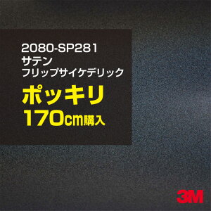 3M J[bsOtB  bsOV[g 2080-SP281 TetbvTCPfbN yW1524mm×170cmz 2080SP281 iԁF1080-SP281 Te  Vo[  J[bvtB DIY O  