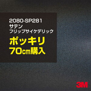 3M J[bsOtB  bsOV[g 2080-SP281 TetbvTCPfbN yW1524mm×70cmz 2080SP281 iԁF1080-SP281 Te  Vo[  J[bvtB DIY O  {
