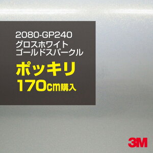 3M J[bsOtB  bsOV[g 2080-GP240 OXzCgS[hXp[N yW1524mm×170cmz 2080GP240 iԁF1080-GP240 OX 򂠂  یtB   p[ J[