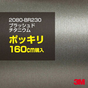 3M J[bsOtB  bsOV[g 2080-BR230 ubVh`^jE yW1524mm×160cmz 2080BR230 iԁF1080-BR230 wAC  Vo[ J[bvtB DIY O  {lb