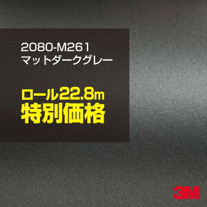 3M J[bsOtB  bsOV[g 2080-M261 }bg_[NO[ y1[FW1524mm×22.8mz 2080M261 iԁF1080-M261 }bg Ȃ Ȃ DF  Vo[ J[bvtB DI