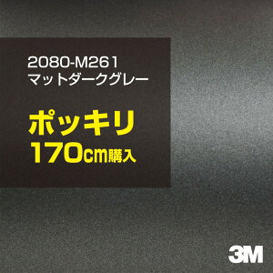 3M J[bsOtB  bsOV[g 2080-M261 }bg_[NO[ yW1524mm×170cmz 2080M261 iԁF1080-M261 }bg Ȃ Ȃ DF  Vo[ J[bvtB DIY O 