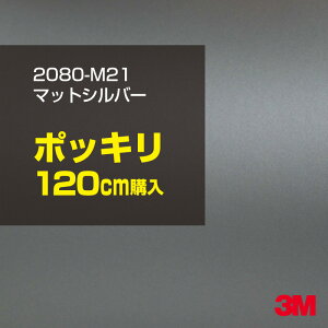 3M J[bsOtB  bsOV[g 2080-M21 }bgVo[ yW1524mm×120cmz 2080M21 iԁF1080-M21 }bg Ȃ Ȃ  DF J[bvtB DIY O  {lbg X