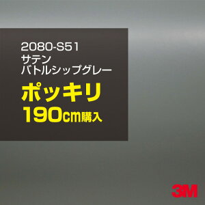 3M J[bsOtB  bsOV[g 2080-S51 TeogVbvO[ yW1524mm×190cmz 2080S51 iԁF1080-S51 Te  DF J[bvtB DIY O  {lbg X